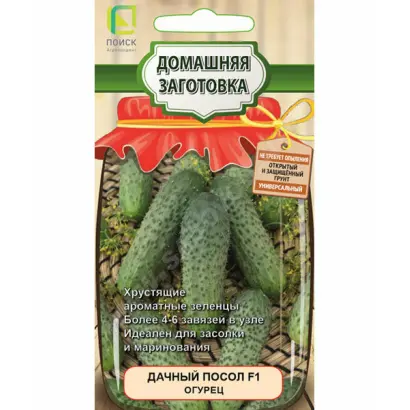 ДАЧНЫЙ ПОСОЛ