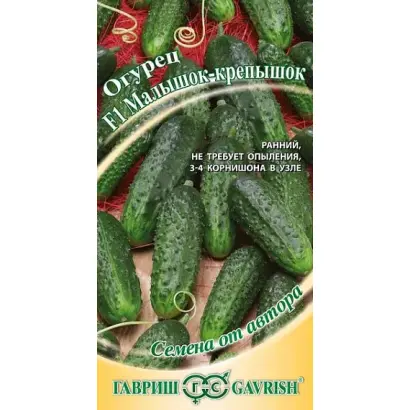 КРЕПЫШОК-МАЛЫШОК