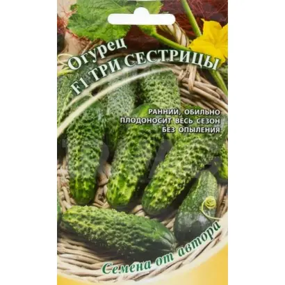 ТРИ СЕСТРИЦЫ