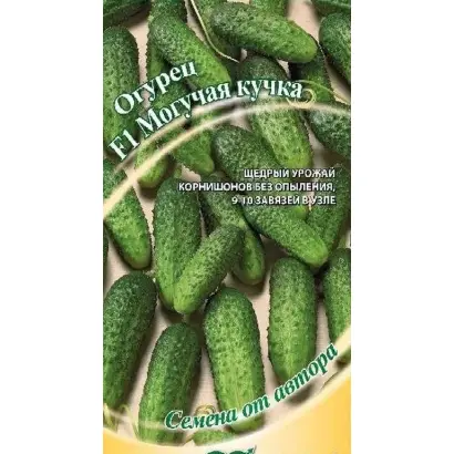 МОГУЧАЯ КУЧКА