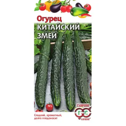 КИТАЙСКИЙ ЗМЕЙ
