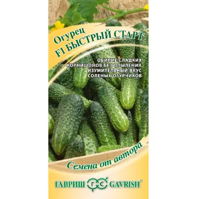 БЫСТРЫЙ СТАРТ