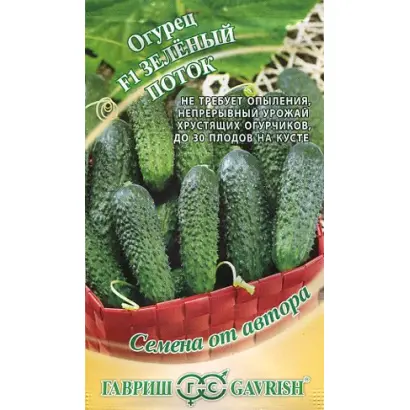 ЗЕЛЕНЫЙ ПОТОК