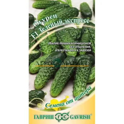 ЗЕЛЕНЫЙ ЭКСПРЕСС