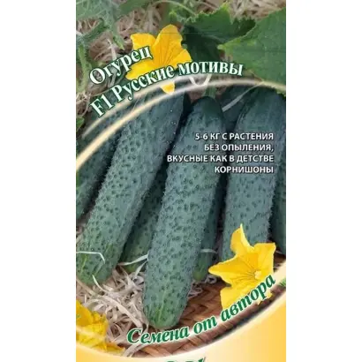 РУССКИЕ МОТИВЫ