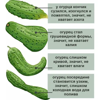 ВЕШНИЕ ВОДЫ