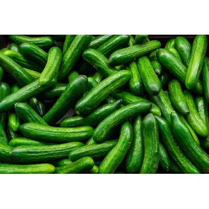 КАРТИННАЯ ГАЛЕРЕЯ