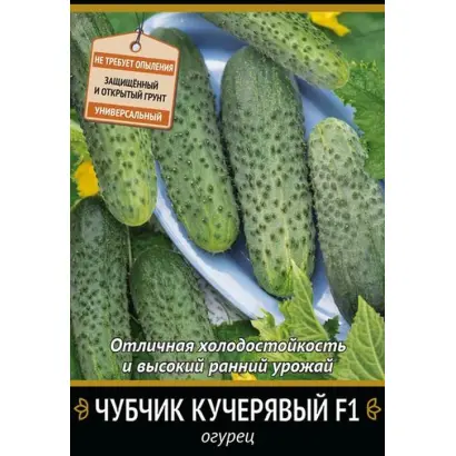 ЧУБЧИК КУЧЕРЯВЫЙ