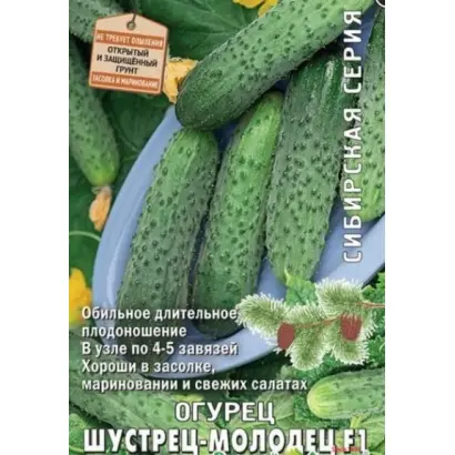 ШУСТРЕЦ-МОЛОДЕЦ