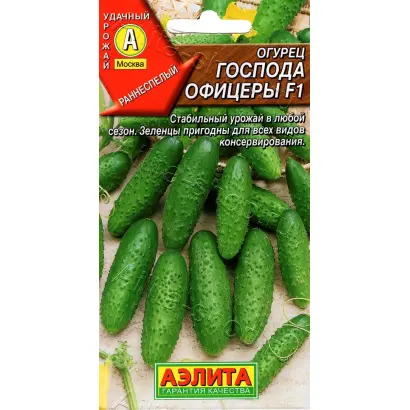 ГОСПОДА ОФИЦЕРЫ