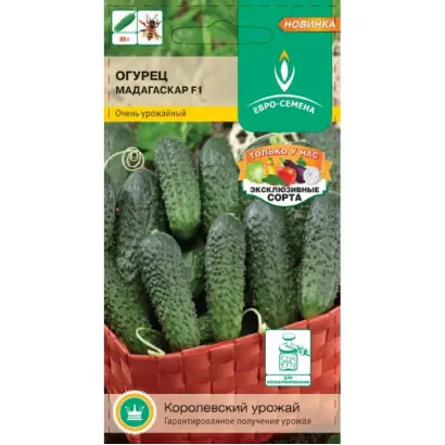 МАДАГАСКАР