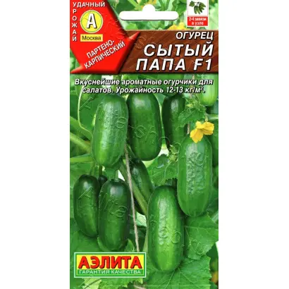 СЫТЫЙ ПАПА