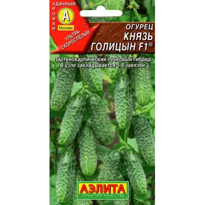 КНЯЗЬ ГОЛИЦЫН