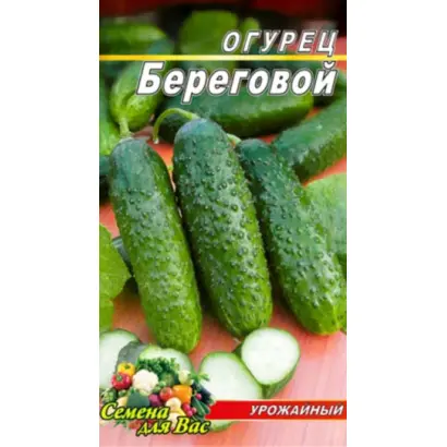 БЕРЕГОВОЙ