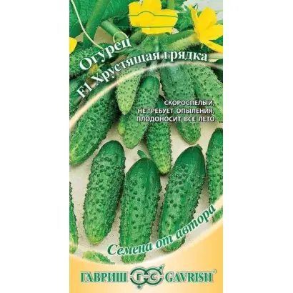 ХРУСТЯЩАЯ ГРЯДКА