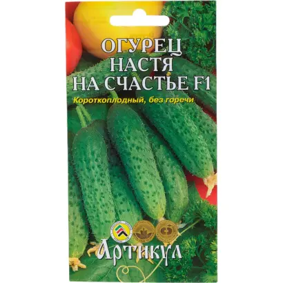 НАСТЯ НА СЧАСТЬЕ
