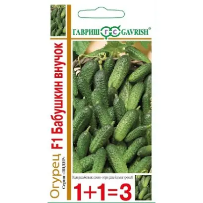 БАБУШКИН ВНУЧОК