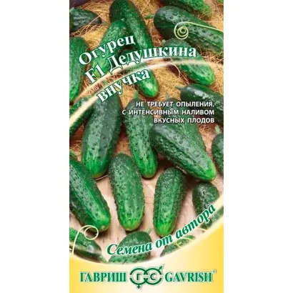 ДЕДУШКИНА ВНУЧКА