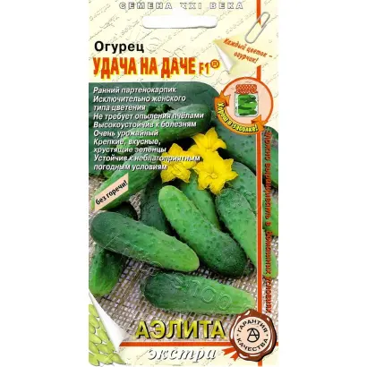 УДАЧА НА ДАЧЕ