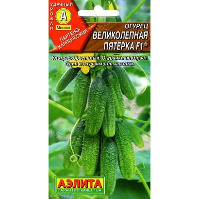 ВЕЛИКОЛЕПНАЯ ПЯТЕРКА