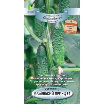 МАЛЕНЬКИЙ ПРИНЦ