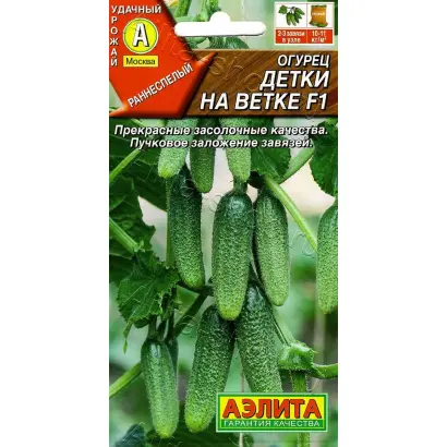 ДЕТКИ НА ВЕТКЕ