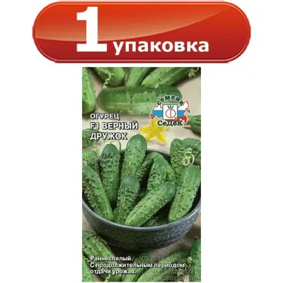 ВЕРНЫЙ ДРУЖОК