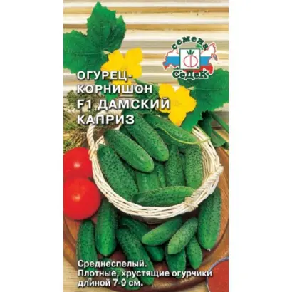 ДАМСКИЙ КАПРИЗ