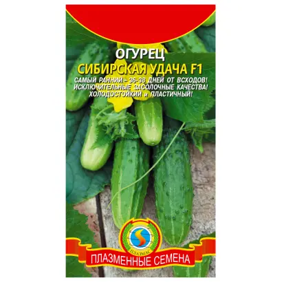 СИБИРСКАЯ УДАЧА