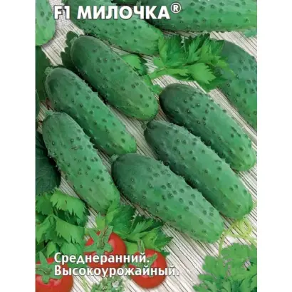 МИЛОЧКА