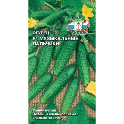 МУЗЫКАЛЬНЫЕ ПАЛЬЧИКИ