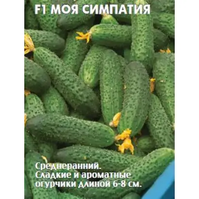 МОЯ СИМПАТИЯ