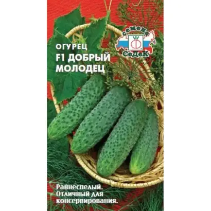 ДОБРЫЙ МОЛОДЕЦ