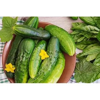 РОГ ИЗОБИЛИЯ