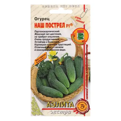 НАШ ПОСТРЕЛ