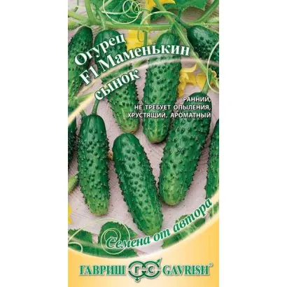 МАМЕНЬКИН СЫНОК