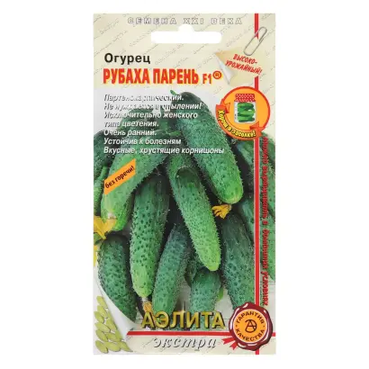 РУБАХА-ПАРЕНЬ