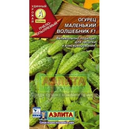 МАЛЕНЬКИЙ ВОЛШЕБНИК