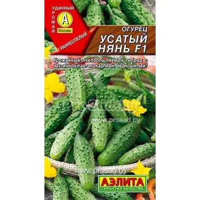 УСАТЫЙ НЯНЬ