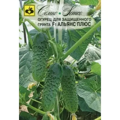 АЛЬЯНС ПЛЮС