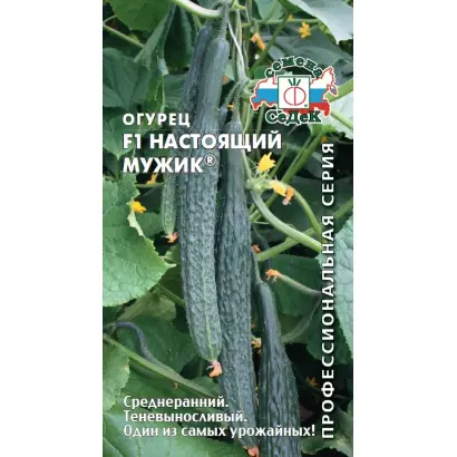 НАСТОЯЩИЙ МУЖИК