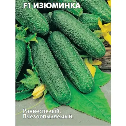 ИЗЮМИНКА