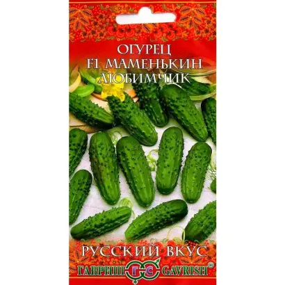 МАМЕНЬКИН ЛЮБИМЧИК