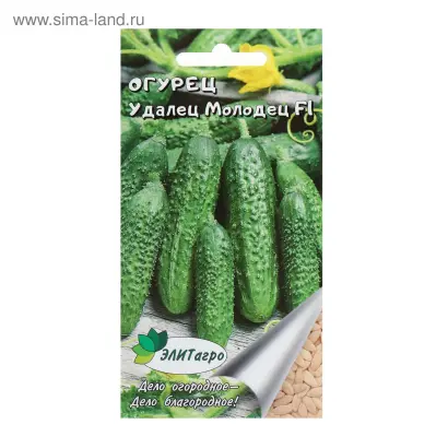 МОЛОДЕЦ-УДАЛЕЦ