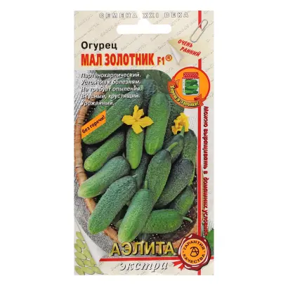 МАЛ ЗОЛОТНИК