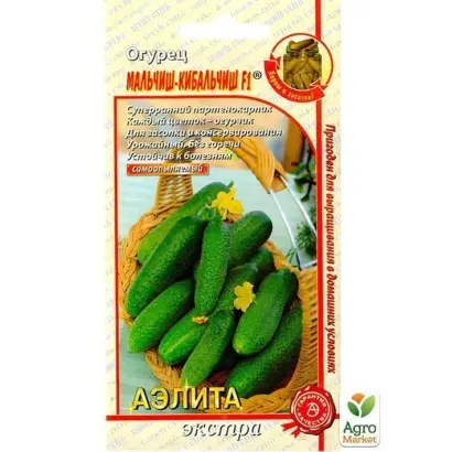 МАЛЬЧИШ-КИБАЛЬЧИШ