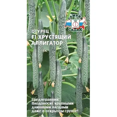 ХРУСТЯЩИЙ АЛЛИГАТОР