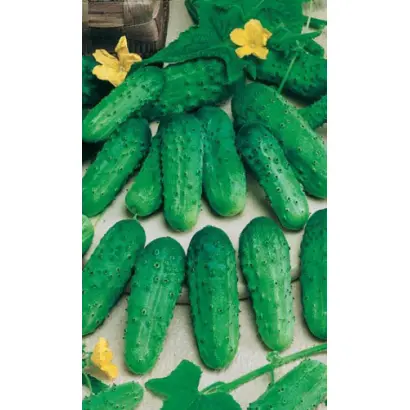 ЗАКУСОЧНЫЙ