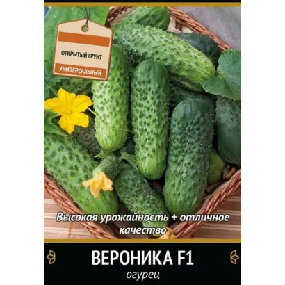 ВЕРОНИКА