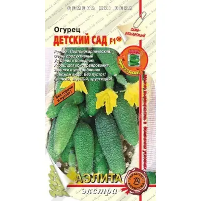 ДЕТСКИЙ САД